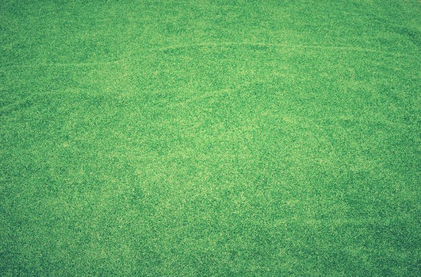  Plusy sztucznego boiska piłkarskiego – trawniki z rolki